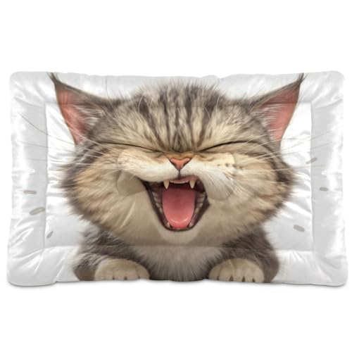 tplaotee Hundehütte mit Cartoon-Motiv "Angry Cat", waschbar, weich, bequem, rutschfeste Unterseite, für große, mittelgroße und kleine Hunde, 91,4 x 61 cm tplaotee Hundehütte mit Cartoon-Motiv "Angry Cat", waschbar, weich, bequem, rutschfeste Unterseite, für große, mittelgroße und kleine Hunde, 91,4 x 61 cm von tplaotee
