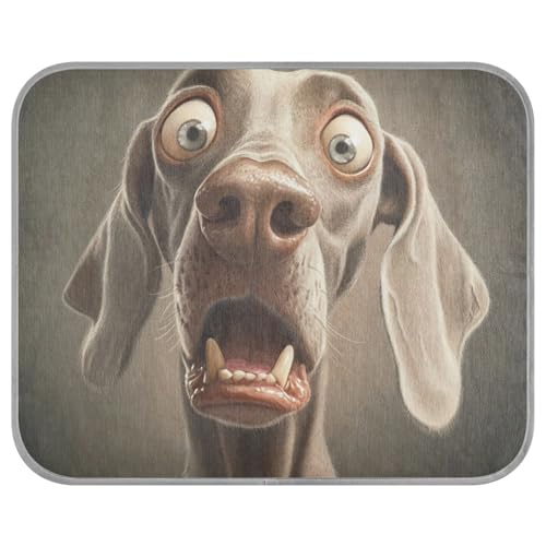 tplaotee Lustige Weimaraner-Hundedecke, kühlende Sommerdecke, selbstkühlende Decke für Hunde für Katzen, Outdoor, Katze, Essentials, Cama Refrescante para Perros M von tplaotee