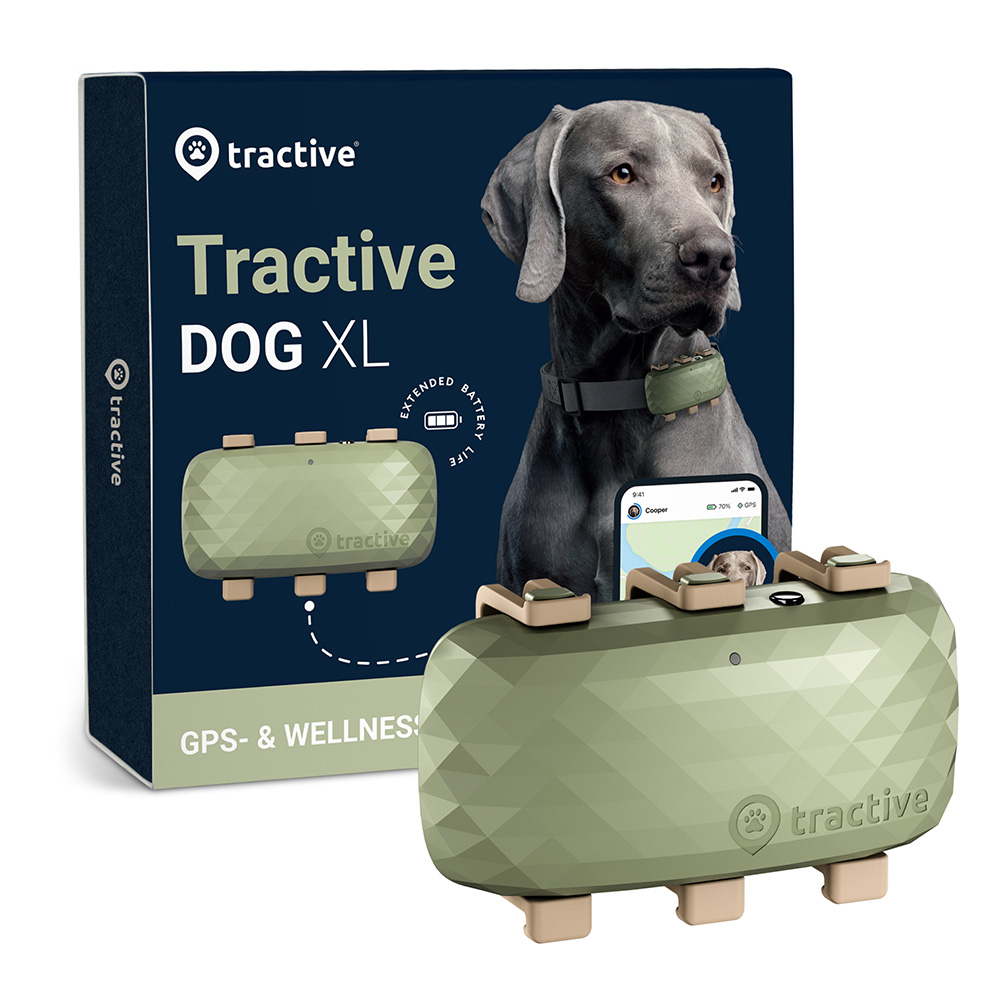 Tractive GPS Tracker XL für Hunde - 1 Stück von tractive
