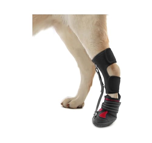 Verschleißfeste Hundeschuhe mit harter Sohle, Golden Retriever Fußschutz und atmungsaktiv (Größe XL) von trmqnaf