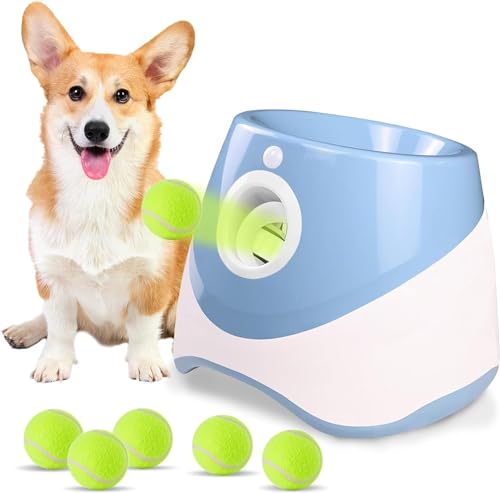 Automatischer Hundeballwerfer, Interaktiver Wurfspielstart for Kleine Und Mittelgroße Hunde, Hundeballwerfermaschine Mit 6 Bällen, Hundespielzeug – 3 Abwurfentfernungen (Color : A) von tylxayoxa