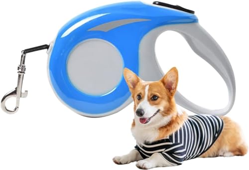 Einziehbare Hundeleine – 5 M Langes Nylonband – Schloss – Rutschfester Griff – Robuste Und Langlebige Laufleine For Kleine Bis Mittelgroße Hunde – Robustes Und Stilvolles Graues Design, 3 M(Color:Blue von tylxayoxa