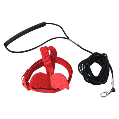 Geschirrseil, langes Kabel, Vogelgeschirr, dekorativ, leicht, für Sittiche, Papageien, Weste, Seil für Vogel, Vogel, Sittiche, Sittiche Geschirrseil, langes Kabel, Vogelgeschirr, dekorativ, leicht, für Sittiche, Papageien, Weste, Seil für Vogel, Vogel, Sittiche, Sittiche von ulafbwur