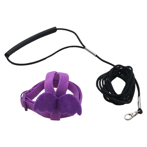 Geschirrseil, langes Kabel, Vogelgeschirr, dekorativ, leicht, für Sittiche, Papageien, Weste, Seil für Vogel Papageien, Weste, Sittiche Geschirrseil, langes Kabel, Vogelgeschirr, dekorativ, leicht, für Sittiche, Papageien, Weste, Seil für Vogel Papageien, Weste, Sittiche von ulafbwur