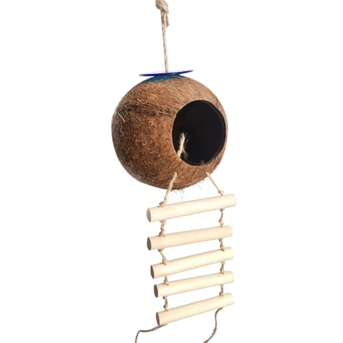 Käfig Kokosnuss Papagei Vögel Feste Schaukel Bett Höhle Spielzeug Haus Haustierbedarf Käfig Kokosnuss Papagei Vögel Feste Schaukel Bett Höhle Spielzeug Haus Haustierbedarf von ulafbwur