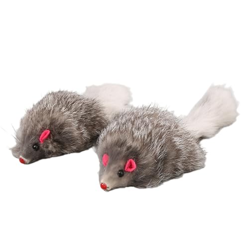 ulafbwur Dog Gifts 2 Stück künstlicher, weicher Plüsch-Teaser, interaktives Spielzeug für Kätzchen, Aktivitätsspielzeug ulafbwur Dog Gifts 2 Stück künstlicher, weicher Plüsch-Teaser, interaktives Spielzeug für Kätzchen, Aktivitätsspielzeug von ulafbwur