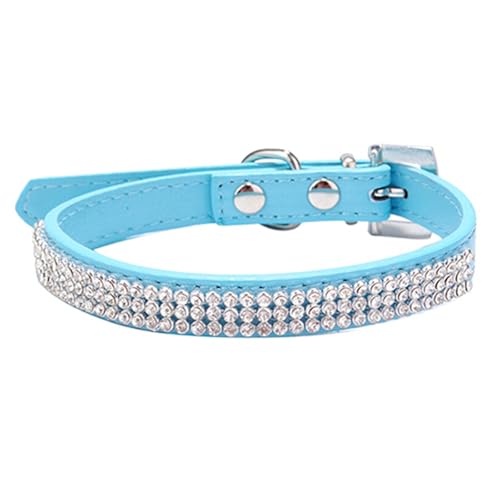 ulafbwur Haustierhalsband, solides Sicherheitshalsband, stabil, tragbar, einfarbiges Netz, Blau, Größe XS ulafbwur Haustierhalsband, solides Sicherheitshalsband, stabil, tragbar, einfarbiges Netz, Blau, Größe XS von ulafbwur