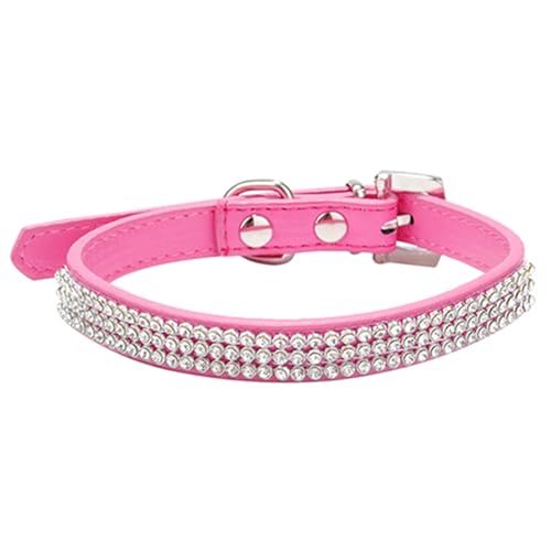 ulafbwur Haustierhalsband, solides Sicherheitshalsband, stabil, tragbar, einfarbiges Netz, Rosenrot, Größe M ulafbwur Haustierhalsband, solides Sicherheitshalsband, stabil, tragbar, einfarbiges Netz, Rosenrot, Größe M von ulafbwur