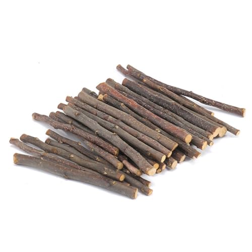 ulafbwur Pet Molar Stick Rabbit Chew Stick Hamster Schleifen Zähne Spielzeug beißfest Ausreichende Menge Hervorragend Kompakt 20/40/60 Stück 20 Stück ulafbwur Pet Molar Stick Rabbit Chew Stick Hamster Schleifen Zähne Spielzeug beißfest Ausreichende Menge Hervorragend Kompakt 20/40/60 Stück 20 Stück von ulafbwur