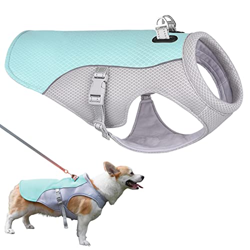 Isolierte Weste für Haustiere, Weste für den Sommer, Kühlweste für Haustiere, Kühler für den Sommer, kühlende Kleidung für Hunde Isolierte Weste für Haustiere, Weste für den Sommer, Kühlweste für Haustiere, Kühler für den Sommer, kühlende Kleidung für Hunde von ulapithi