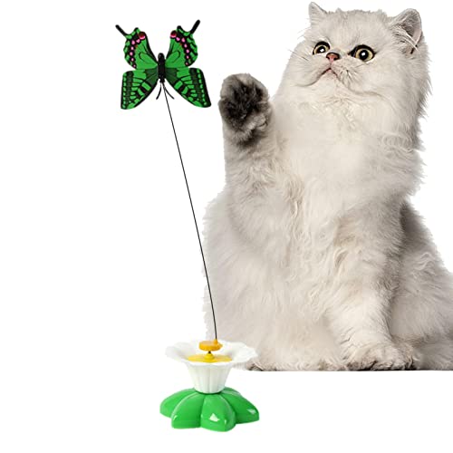 Katzenspielzeug - Cat Toys - Interaktives Katzenspielzeug - 360 ° Drehbares Auto Interaktives Katzenspielzeug Batteriebetriebenes Freihändiges Natürliches Vogel-Schmetterlings-Tanzen-Spielspie von ulapithi