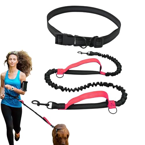 Seil für Hunde, freihändig, Laufseil für Hunde, freihändig, einziehbares Seil für Hunde – Taillenseil für Spaziergänge mit dem Hund, Trainingsseil für Gürtel Seil für Hunde, freihändig, Laufseil für Hunde, freihändig, einziehbares Seil für Hunde – Taillenseil für Spaziergänge mit dem Hund, Trainingsseil für Gürtel von ulapithi