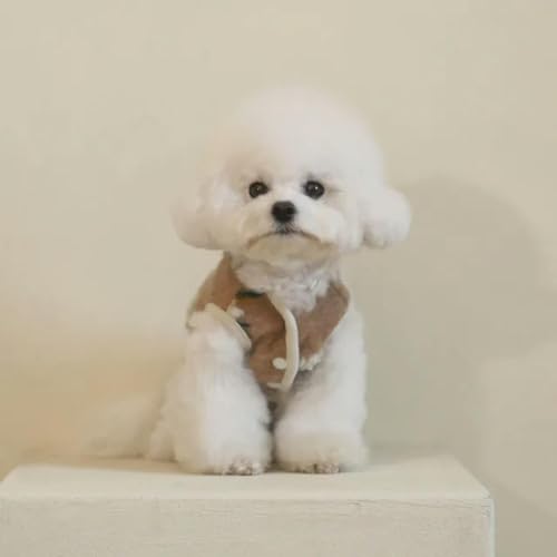 Blume Luxus Hund Kleidung für Kleine Hunde Verdicken Haustier Mantel Winter Mädchen Hund Outfit Designer Hund Kostüm Chihuahua Haustiere Accesorios von umass