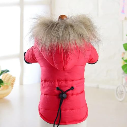 Hundemantel Kleine Hundejacke Winddicht Warm Gepolstert Daunen Hoodie Schneeanzug Winter Hundekleidung für Katze Welpen Chihuahua von umass