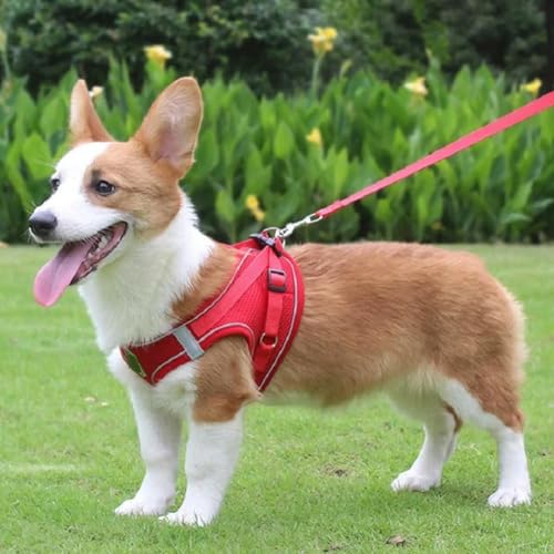 Bequemes atmungsaktives Netzgewebe, reflektierend, für kleine und mittelgroße Hunde Bequemes atmungsaktives Netzgewebe, reflektierend, für kleine und mittelgroße Hunde von umsl