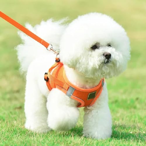 Bequemes atmungsaktives Netzgewebe, reflektierend, für kleine und mittelgroße Hunde Bequemes atmungsaktives Netzgewebe, reflektierend, für kleine und mittelgroße Hunde von umsl