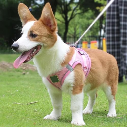 Bequemes atmungsaktives Netzgewebe, reflektierend, für kleine und mittelgroße Hunde Bequemes atmungsaktives Netzgewebe, reflektierend, für kleine und mittelgroße Hunde von umsl