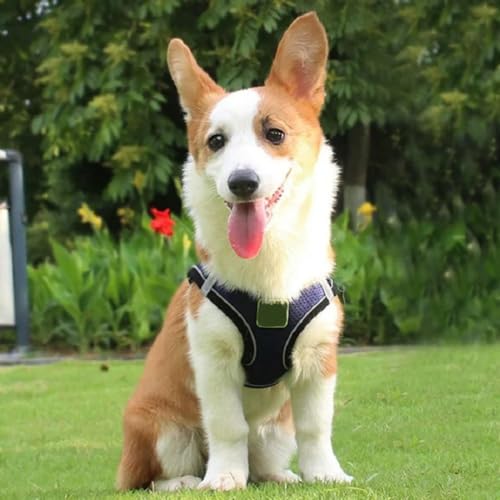 Bequemes atmungsaktives Netzgewebe, reflektierend, für kleine und mittelgroße Hunde Bequemes atmungsaktives Netzgewebe, reflektierend, für kleine und mittelgroße Hunde von umsl