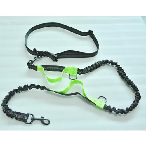 Einziehbare Hundeleine zum Laufen, doppelte Griffe, elastische Kordel, reflektierend, große Hundeleine, Haustierzubehör Einziehbare Hundeleine zum Laufen, doppelte Griffe, elastische Kordel, reflektierend, große Hundeleine, Haustierzubehör von umsl