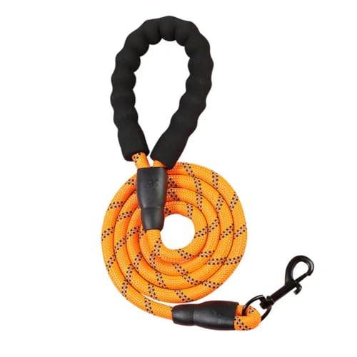 Hundegeschirr aus Nylon, für mittelgroße und große Hunde, 2 m, Hundetraining, Spazierengehen, Sicherheit, Bergsteigen, Hundeleine Hundegeschirr aus Nylon, für mittelgroße und große Hunde, 2 m, Hundetraining, Spazierengehen, Sicherheit, Bergsteigen, Hundeleine von umsl