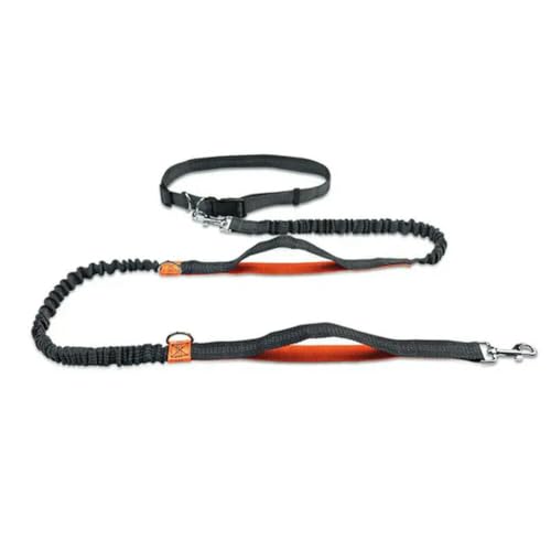 Reflektierende Leine, Zugseil, Haustier, Hund, Laufgürtel, elastische Hände, Joggen, Ziehen, Hundeleine, Metall-D-Ring-Geschirr Reflektierende Leine, Zugseil, Haustier, Hund, Laufgürtel, elastische Hände, Joggen, Ziehen, Hundeleine, Metall-D-Ring-Geschirr von umsl