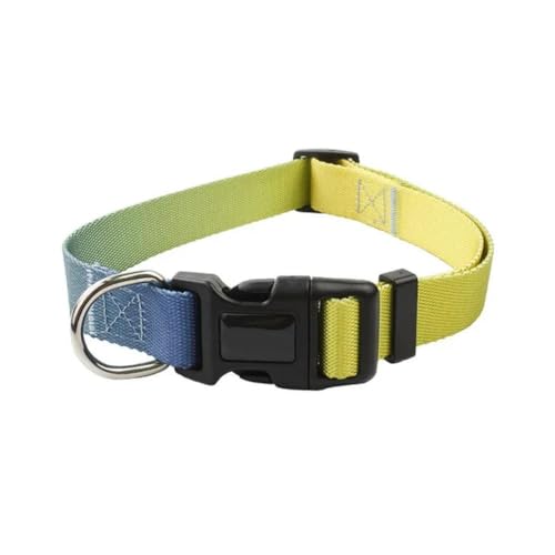 Verstellbares Nylon-Hundehalsband, Leine für Haustiere, Katzen, Hunde, Traktionsleine, geeignet für kleine, große Hunde, Bulldoggen, Mops, Beagle Verstellbares Nylon-Hundehalsband, Leine für Haustiere, Katzen, Hunde, Traktionsleine, geeignet für kleine, große Hunde, Bulldoggen, Mops, Beagle von umsl