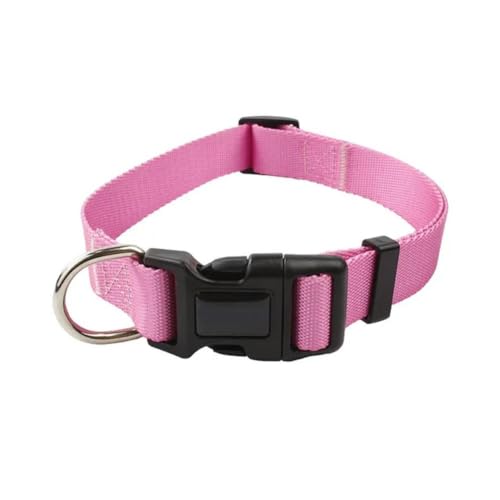 Verstellbares Nylon-Hundehalsband, Leine für Haustiere, Katzen, Hunde, Traktionsleine, geeignet für kleine, große Hunde, Bulldoggen, Mops, Beagle Verstellbares Nylon-Hundehalsband, Leine für Haustiere, Katzen, Hunde, Traktionsleine, geeignet für kleine, große Hunde, Bulldoggen, Mops, Beagle von umsl