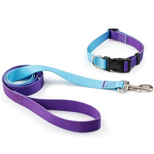 Verstellbares Nylon-Hundehalsband, Leine für Haustiere, Katzen, Hunde, Traktionsleine, geeignet für kleine, große Hunde, Bulldoggen, Mops, Beagle von umsl