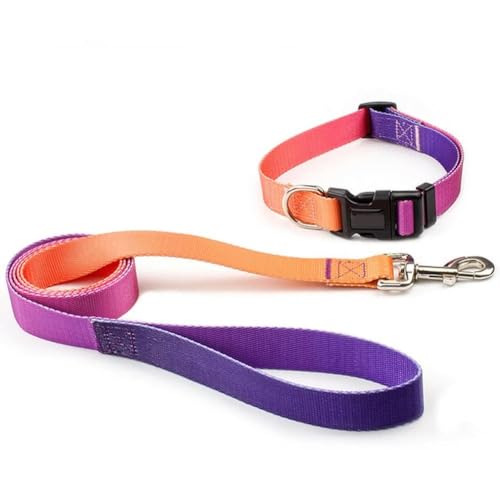 Verstellbares Nylon-Hundehalsband, Leine für Haustiere, Katzen, Hunde, Traktionsleine, geeignet für kleine, große Hunde, Bulldoggen, Mops, Beagle Verstellbares Nylon-Hundehalsband, Leine für Haustiere, Katzen, Hunde, Traktionsleine, geeignet für kleine, große Hunde, Bulldoggen, Mops, Beagle von umsl
