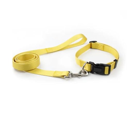 Verstellbares Nylon-Hundehalsband, Leine für Haustiere, Katzen, Hunde, Traktionsleine, geeignet für kleine, große Hunde, Bulldoggen, Mops, Beagle von umsl