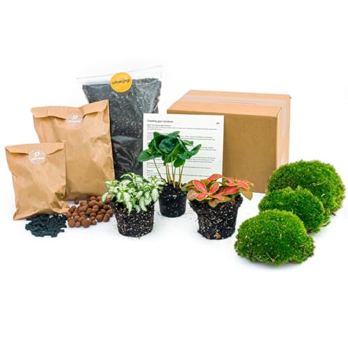 Flaschengarten Paket Coffea Arabica - Nachfüll & Starterpaket DIY - Nachfüll & Starterpaket DIY Pflanzenterrarium Nachfüllset - DIY - Pflanzenterrarium - urbanjngl | Terrarium kit von urbanjngl