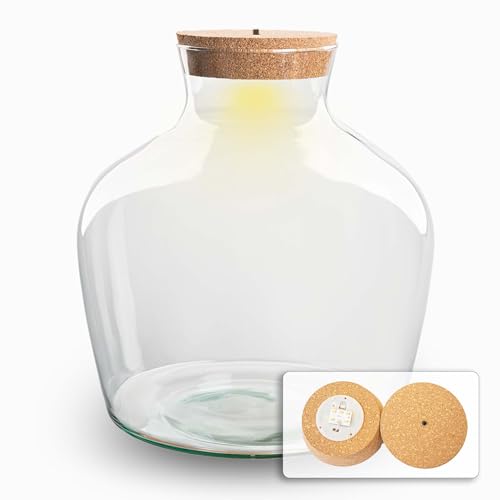 Flaschengarten mit Kork - Fat Joe Model - Geschlossenes Terrarium mit Lampe ↑ 30 cm von urbanjngl