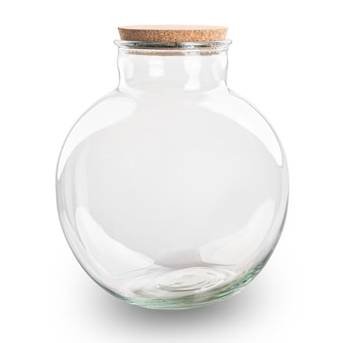 urbanjngl.com - Terrarium mit Kork - Geschlossenes Terrarium ↑ 30 cm von urbanjngl