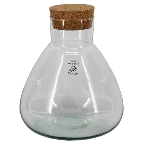 urbanjngl.com - Terrarium mit Kork - Sammie - Geschlossenes Terrarium ↑ 26.5 cm von urbanjngl