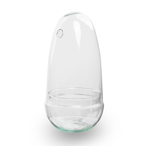 urbanjngl.com - Glaskolben - Glasglocke - Eiform - Geschlossenes Terrarium ↑ 25,5 cm von urbanjngl