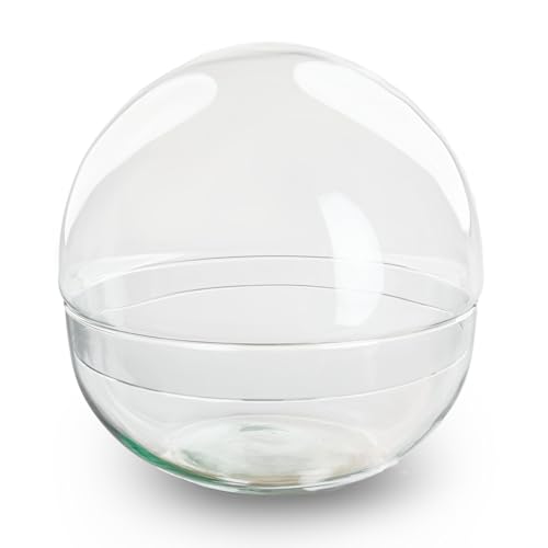 urbanjngl.com - Kugelglas - Glasglocke - Geschlossenes Terrarium ↑ 28 cm von urbanjngl