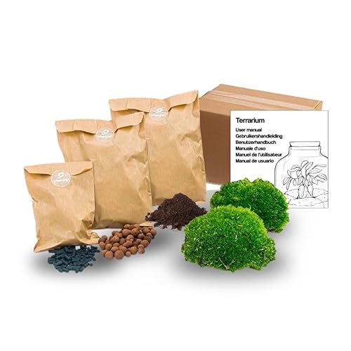 urbanjngl.com - Pflanzenterrarium – Nachfüllset – Starterset – DIY – Größe S/M - Pflanzen-Terrarium-Paket urbanjngl.com - Pflanzenterrarium – Nachfüllset – Starterset – DIY – Größe S/M - Pflanzen-Terrarium-Paket von urbanjngl