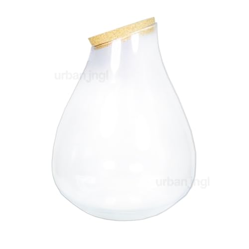 urbanjngl.com - Terrarium mit Kork - Drop XXL - Geschlossenes Terrarium ↑ 43cm von urbanjngl