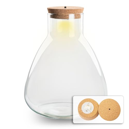 urbanjngl.com - Terrarium mit Led Licht Kork - Sam Led - Geschlossenes Terrarium ↑ 30 cm urbanjngl.com - Terrarium mit Led Licht Kork - Sam Led - Geschlossenes Terrarium ↑ 30 cm von urbanjngl