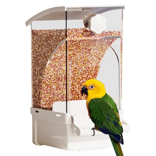 usefulbeauty Automatischer Vogelhäuschen für Käfig, Papageifutter | Automatischer Papageifutter - Käfigzubehör, Haustierversorgungen für Cockatiel Kakerarienanbringliche Conure von usefulbeauty