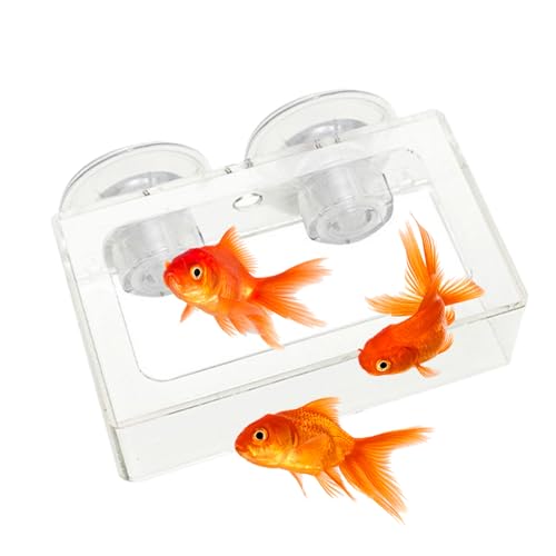 usefulbeauty Garnelenfuttergericht, Fischfutterfuttermittel - Quadratische Fischschüsselbecher mit Saugnapfbecher - Acrylaquarium, rotierende Lebensmittelhalter für Aquarium von usefulbeauty