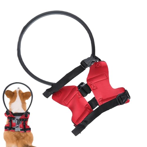 usefulbeauty Halo für blinde Hunde, Jacke mit Geschirr für blinde Hunde, Bumper-Schutz für Halsband, Ring, Zubehör für Blindheit, verschwommene Sicht, Prävention, Kollisionen, Spaziergang im Freien von usefulbeauty