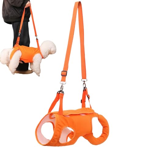 usefulbeauty Hebegeschirr für Hunde – verstellbarer Stützgurt für Pfoten mit Zugluftstopper – bequeme und atmungsaktive Hilfsbekleidung für Tiere mit eingeschränkter Mobilität im Freien usefulbeauty Hebegeschirr für Hunde – verstellbarer Stützgurt für Pfoten mit Zugluftstopper – bequeme und atmungsaktive Hilfsbekleidung für Tiere mit eingeschränkter Mobilität im Freien von usefulbeauty