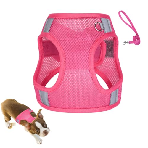 usefulbeauty Hundegeschirr, Zugentlastungs-Set mit Geschirr und Leine für Welpen, Zubehör für Haustiere, erleichtert die Kontrolle bei Spaziergängen und Outdoor-Aktivitäten von usefulbeauty