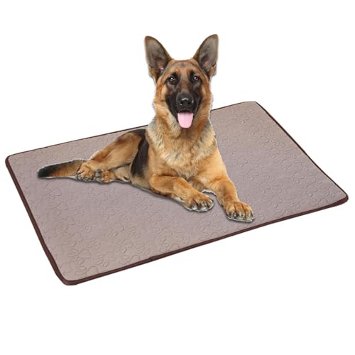 usefulbeauty Hundekühlmatte, Hundebetten für kleine Hunde - Anti-Rutsch-Kühldecke für Hunde, Sommer-Kühlmatte, Isomatte,Anti-Rutsch-Kühldecke für Hunde und Katzen, tragbare Haustier-Kühlmatte für usefulbeauty Hundekühlmatte, Hundebetten für kleine Hunde - Anti-Rutsch-Kühldecke für Hunde, Sommer-Kühlmatte, Isomatte,Anti-Rutsch-Kühldecke für Hunde und Katzen, tragbare Haustier-Kühlmatte für von usefulbeauty
