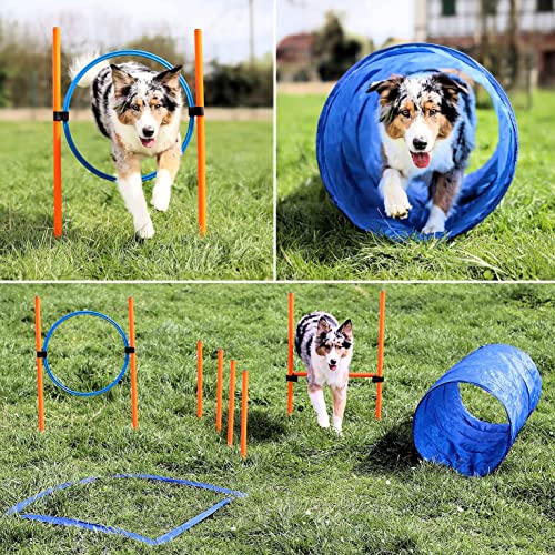 vabiono Agility Dog Trainings Set X Tunnel-Sprungring-Hürden-Slalom-Stangen für Hunde von vabiono