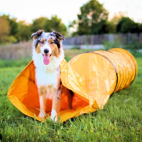 vabiono Agility Profi Sack-Tunnel für Hunde - Hundetunnel 60x300cm Spieltunnel Agilitytunnel Hundehöhle ST von vabiono