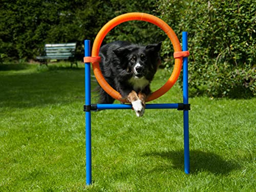 vabiono Hunde Agility Sprungring Jump-Ring Hürde Reifen Activity Training Set F vabiono Hunde Agility Sprungring Jump-Ring Hürde Reifen Activity Training Set F von vabiono