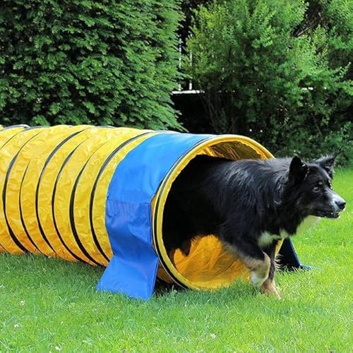 vabiono Profi Agility Tunnel für Hunde 5m – Ø60cm - 360° flexibel inkl. Stützsandsäcke – nach FCI-Standard – für Hundetraining, Agility Parcours & Wettkampf vabiono Profi Agility Tunnel für Hunde 5m – Ø60cm - 360° flexibel inkl. Stützsandsäcke – nach FCI-Standard – für Hundetraining, Agility Parcours & Wettkampf von vabiono