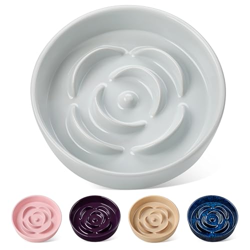 vancasso Slow Feeder Hundenapf, 1,5 Tassen Keramik Hundefutter Schüssel für Fast Eaters Kleine Rassen, Puzzle Schüssel für Kleine Hunde und Katzen, Meeresschaumgrün vancasso Slow Feeder Hundenapf, 1,5 Tassen Keramik Hundefutter Schüssel für Fast Eaters Kleine Rassen, Puzzle Schüssel für Kleine Hunde und Katzen, Meeresschaumgrün von vancasso